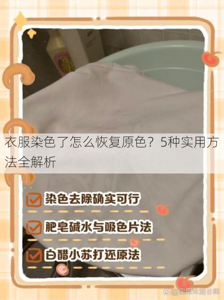 衣服染色了怎么恢复原色？5种实用方法全解析