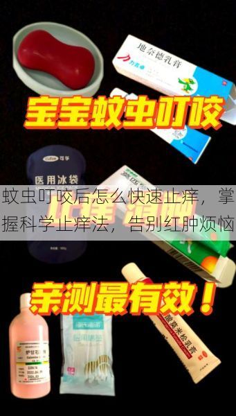 蚊虫叮咬后怎么快速止痒，掌握科学止痒法，告别红肿烦恼